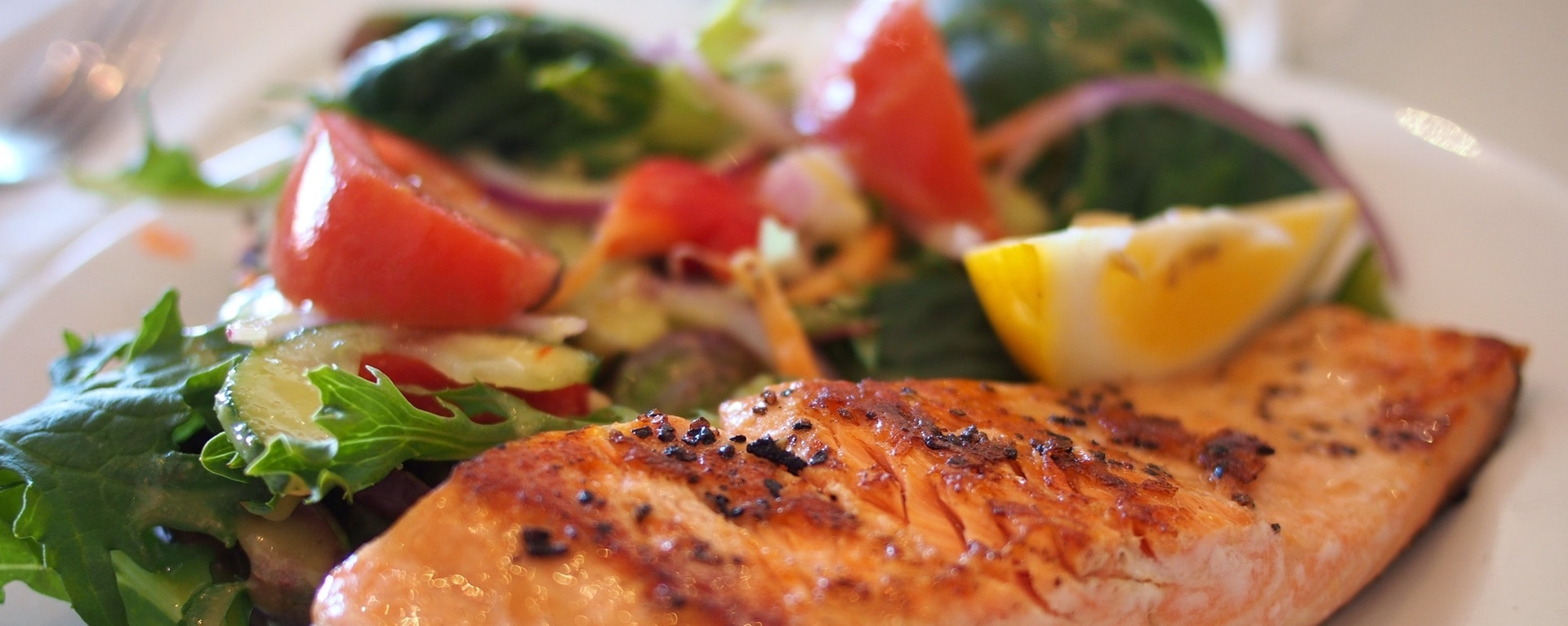 salmon-dish-food-meal